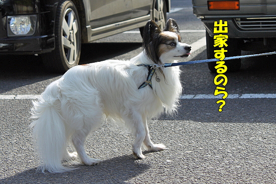 ¤´µ§´ê¡ú¥