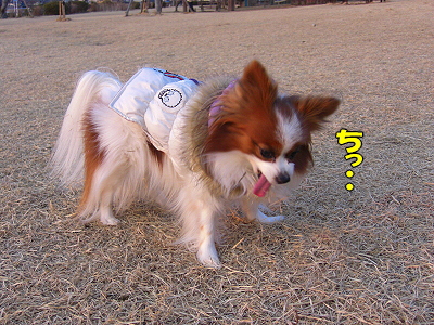 ½Ë¼¤ò½ñ¤¹þ¤ß¤Ë¹Ô¤³¤¦¡¼(¡¦¢Ï¡¦)ŽÉ¨