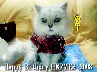 Happy Birthday HERMES¡¡2008«