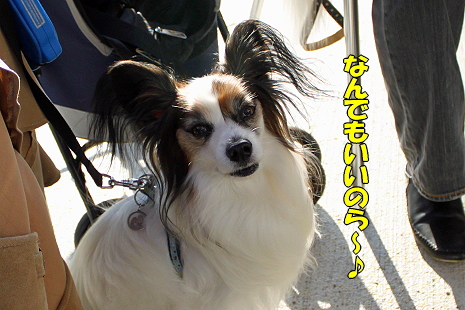 ららぽでキットカット★��