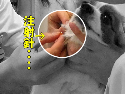 ¿Ç»¡¤Î·ë²Ì¡¦¡¦¡¦¡¦¥