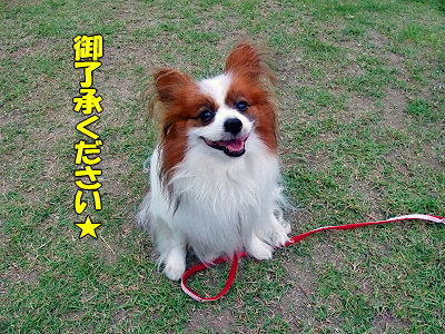 CDÊ䡦¡¦¡¦¡¦£