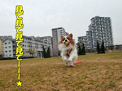 JOY¤È¶¦¤Ë¡¦Á°ÊÔ§