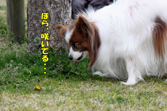 ¾®¤µ¤¤½Õ¡¡04