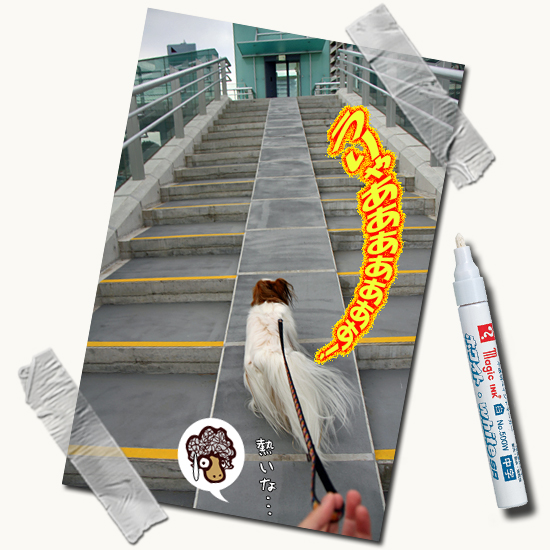 ¥µ¥¶¥Ó¡¼¡¢¥·¡¼¥µ¥¤¥É¡¦¥Ç¥Ã¥¤ËΩ¤Ä¡ª¡ª¡¡04