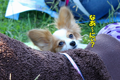 ½©¤Î¥ª¥Õ²ñ¡¡¤½¤Î£²ª
