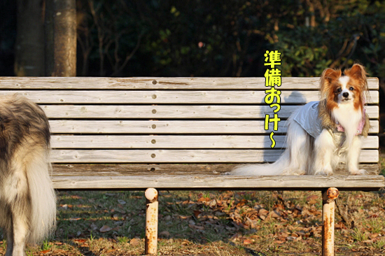 ¤â¤¦°ìÅÙ¡¢¥Ë¥³¥é¥¹¡¡05