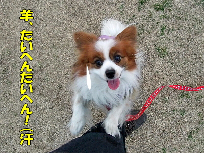 ¥À¥¤¥½¥ó¡ú¢