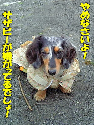 ¤ä¤á¤Ê¤µ¤¤¡¢¥»¥Ê¡ª