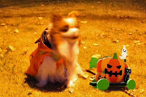³¹Åô¤Î²¼¤Ç¯