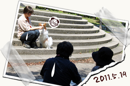 ¡ÚWan 2011¡Û¡Ê¸åÊÓ¡Ë¡¡04