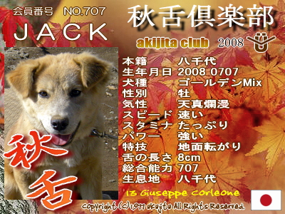 707-jack-2008aki