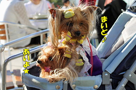 ららぽでキットカット★��