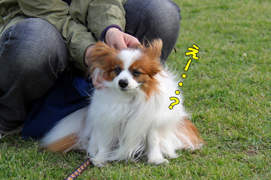 ¥¥â¥Á¥¤¥¤¡Á¢ö¡¡03