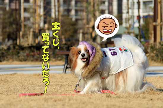 ¤Þ¡¢¤Þ¤¿Íèǯ¡¦¡¦¡¦¡ú¡ù¡ú¡¡02