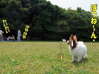 GWËëÄ¥¥ª¥Õ¡Ê³¤É͸ø±àÊÔ¡Ë