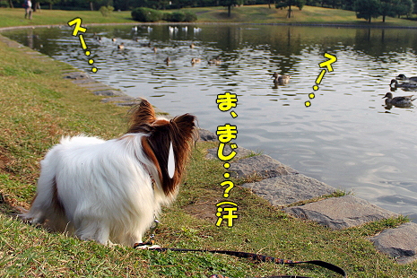 ¥«¥â¤Ê¤é¡¦¡¦¡¦§