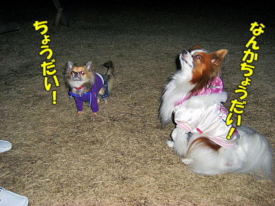 Åß»ê¤Î˺ǯ²ñ©