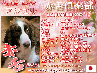 303-axel-2008saku¶