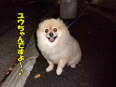 ¹¤¤¤«¡¢¶¹¤¤¤«¡©¤