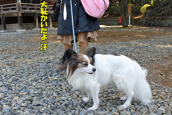 ¤µ¤è¤Ê¤é¡¢AKI¤µ¤ó¡¦¡¦¡¦21
