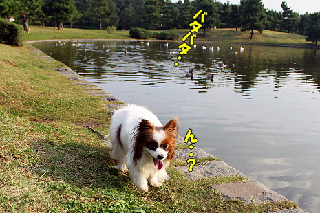 ¥«¥â¤Ê¤é¡¦¡¦¡¦¦