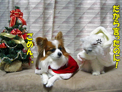 ¡ù¡ú¡ùMerry Christmas¡ù¡ú¡ù£
