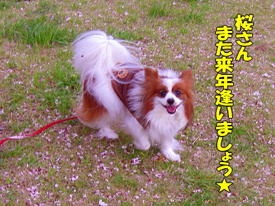 ºù»¶¤ë¡¦¡¦¡¦¬