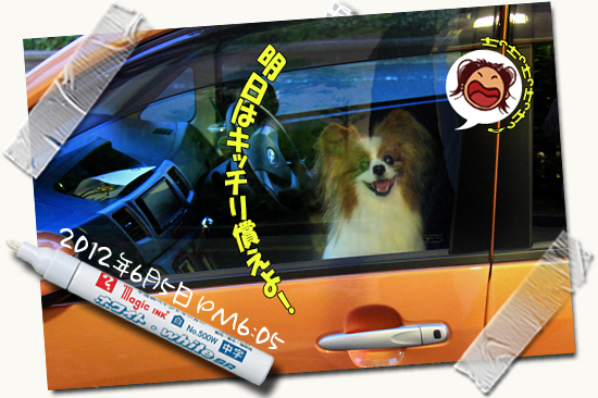 ¤µ¤Æ¡¢¤ª½Ð¤«¤±¡¦¡¦¡¦¡¡12