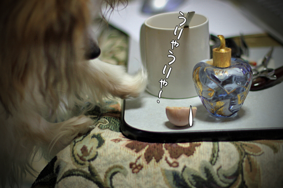 ¤µ¤¯¤é¤ó¤Ü¤Î¤¿¤Þ¤´¡¡04