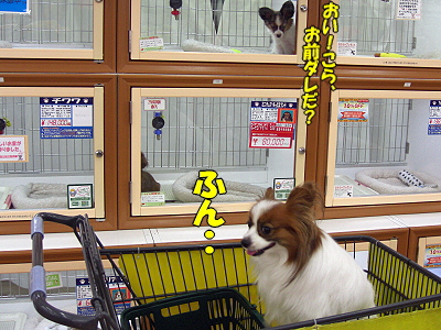 °ì¿¨Â¨È¯¡¦¡¦¡©¨