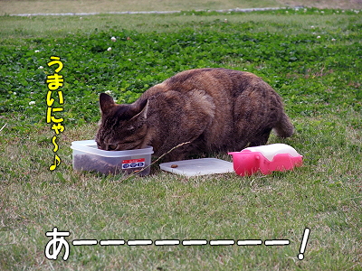 ¤½¤Î¸å¤Î¥µ¥¶¥Ó¡¼¡¡part2±