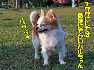 ¥Ê¥¤¥ó¥º¡ú¦