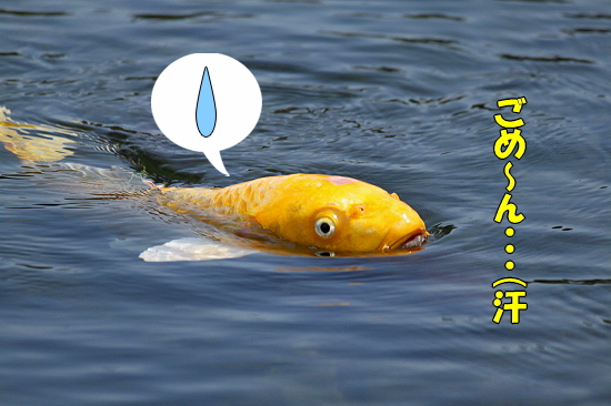 µÈÅĸø±à¢ö¡ÊÁ°ÊÔ¡Ë