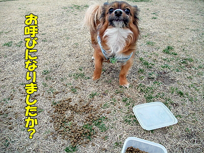 ¥À¥¤¥½¥ó¡ú¦