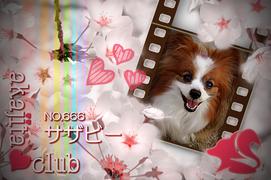 Àµ²ò¤Ï¡¦¡¦¡¦¡¦¡¦¡©¡¡08