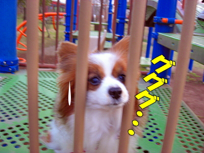 Í·¶ñ¤ÇGU¡¦¡¦¡¦¡¦¬