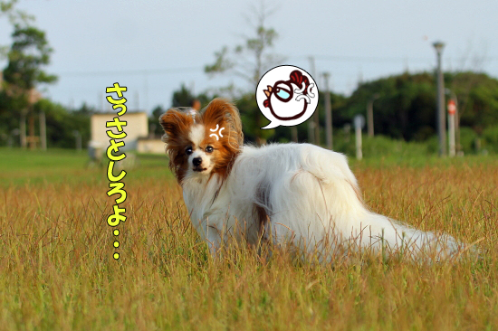 ¡Ú¥µ¥¶¥ª¥Õ¡ú2016¡Û¤Î¾ÜºÙ¢ö¡¡03