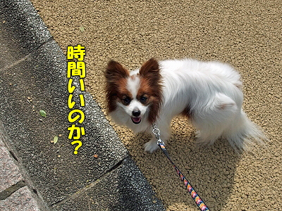 ¤Ò¤¿¤Á³¤É͸ø±à¥