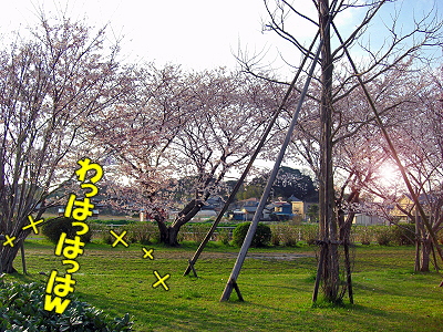 ¡ú¥µ¥¶¥Ó¡¼¤´²ûÇ¥¡ú±