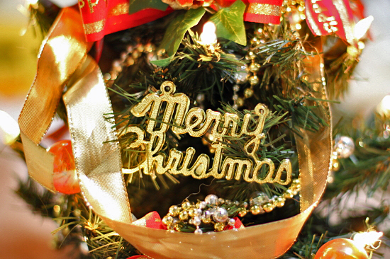 ³§¤µ¤ó¡¢Merry Christmas ¡ú¡ù¡ú ¡³(¡®¢¦¡)/¡¡01