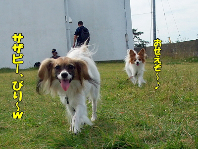 38ǯ²ñ22