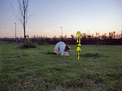 ÂçÀڤˤ¹¤ë¤Í¡ª¦