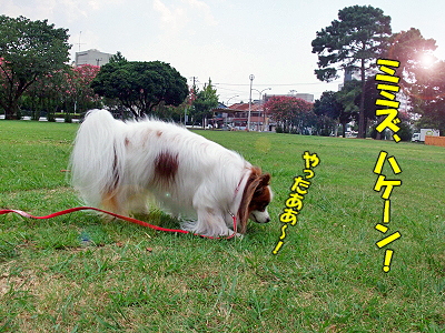 ²ÆµÙ¤ß´ë²è No12§
