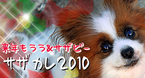 ¡Ú¥µ¥¶¥«¥ì2010¡ÛbetaÈÇ¡