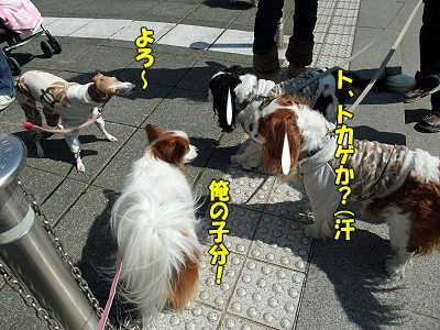 ¥µ¥¶¥Ó¡¼¡¢²£ÉͤËΩ¤Ä¡ª¤Î´¬¤´