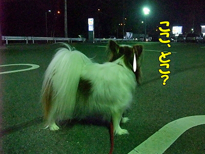 ¥Ï¥ó¥µ¥à¡ú¥¹¡¼¥Ä¢