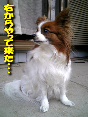 ±¦¤«¤é¤ä¤Ã¤ÆÍ褿¡¦¡¦¡¦¡¦