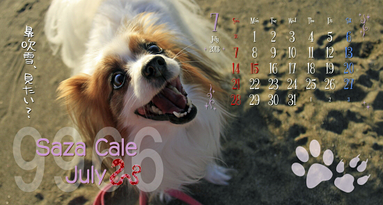 ¡Ú¥µ¥¶¥«¥ì2013¡ÛÇÛÁ÷¡Á¡ú¡ù¡ú¡¡11