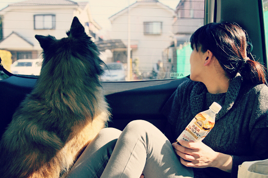 ¤â¤¦°ìÅÙ¡¢¥Ë¥³¥é¥¹¡¡12